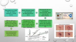 Descubierta en el año
1921 por Albert
Calmette y Camile
Guérin
Bacilo Calmette Guérin
vivo atenuado
de Mycobacterium
bovis
Presentación de un 1
ml (vacuna
reconstituida), dosis
0,05 ml (20
dosis/frasco).
Conservación (+2°C a
+8°C) con los viales
dentro del embalaje
para protegerlos de la
luz
Administración vía
intradérmica, cara
externa superior del
brazo (región superior
de la inserción distal
del m. deltoides)
Efectos adversos:
Cepa, dosis, edad y
técnica de aplicación:
adenopatías, infección
de herida.
Contraindicaciones:
Inmunosupresión,
embarazo, PESO
 