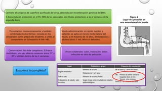 Contiene el antígeno de superficie purificado del virus, obtenido por recombinación genética del DNA
3 dosis inducen protección en el 95-98% de los vacunados con títulos protectores a las 2 semanas de la
segunda dosis
Presentación: monocomponente y también
combinada de dos formas: incluida en los
preparados como preparado bivalente, o unida al
componente de la hepatitis A (HA+HB).
Conservación: No debe congelarse. El frasco
multidosis, una vez abierto conservar entre 2°C y
8°C y utilizar dentro de las 4 semanas.
Vía de administración: en recién nacidos y
lactantes se aplica en tercio medio lateral del
muslo, y en mayores de 10 años, embarazadas y
adultos (dosis 1 ml), IM en el deltoides.
Efectos colaterales: calor, induración, dolor,
infección en sitio de aplicación
Esquema incompleto?
 