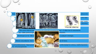 Rotavirus: Se adhiere al epitelio de tracto gastrointestinal, destruye la mucosa yeyunal impidiendo la absorción.
ROTARIX.- Vacuna monovalente (G1P1[8]), virus vivo atenuado por sucesivos pases celulares de una cepa
de origen humano.
Imita la infección natural, induciendo protección contra la diarrea grave en ulteriores infecciones, tanto
por esa cepa como por cepas distintas y un grado variable de protección cruzada contra tipos distintos
al G1.
Eficacia: La vacunación completa ofrece protección de:
•70% contra diarrea por rotavirus de cualquier gravedad en los 1-2 años tras la vacunación.
•85-100% contra la gastroenteritis grave que precisa hospitalización.
Disminuye un 42-58% de ingresos hospitalarios por diarrea de cualquier etiología.
Efectos secundarios: bien tolerada, las manifestaciones son de tipo GI leves.
Contraindicaciones: Hipersensibilidad conocida o demostrada, APP de enfermedad GI crónica, malformaciones
GI, inmunosupresión.
 