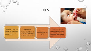 OPV
Constituida por una
mezcla de virus vivos
atenuados de la polio
tipos 1, 2 y 3.
Presentación
Frascos multidosis de
10, 20 ó 25 dosis, con o
sin gotero incorporado
Mantener a
temperatura de 2 a
8 ºC
Reacciones adversas
Parálisis fláccida, 1 caso
por cada 1,5 millones de
vacunados en la primera
dosis
 