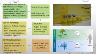 Enfermedad infecciosa viral,
VECTOR mosquito Aedes
aegypti, cuadro ictero-
hemorrágico grave. zoonosis
endémica entre monos en
regiones de África y América
Latina.
Vacuna viva atenuada.
OMS: 1 dosis da
inmunidad de por vida
APLICACIÓN
• Región deltoides
• Al menos 10 días
antes del viaje.
EFECTOS ADVERSOS:
• Comunes (Cefalea, mialgias,
fiebre).
• Raros (Encefalitis, síndrome
viscerotropico mas común
en adultos mayores).
CONTRAINDICACIONES:
• Menores de 6 meses
• Casos de alergia severa al
huevo
• Inmunodeficiencia
congénita o adquirida
ULTIMO CASO Tena,
2012 (ABRIL 2017,
SUCUMBIOS).
 