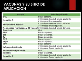 VACUNAS Y SU SITIO DE
APLICACION
 