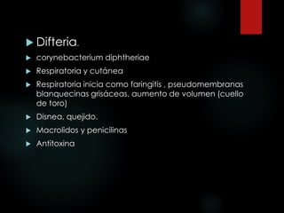  Difteria.
 corynebacterium diphtheriae
 Respiratoria y cutánea
 Respiratoria inicia como faringitis , pseudomembranas
blanquecinas grisáceas, aumento de volumen (cuello
de toro)
 Disnea, quejido.
 Macrolidos y penicilinas
 Antitoxina
 