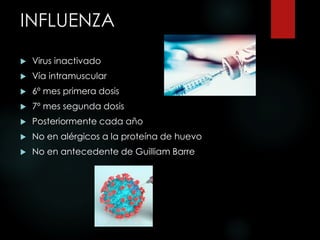 INFLUENZA
 Virus inactivado
 Vía intramuscular
 6º mes primera dosis
 7º mes segunda dosis
 Posteriormente cada año
 No en alérgicos a la proteína de huevo
 No en antecedente de Guilliam Barre
 