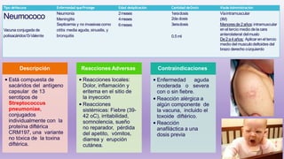 Descripción
• Está compuesta de
sacáridos del antígeno
capsular de 13
serotipos de
Streptococcus
pneumoniae,
conjugados
individualmente con la
proteína diftérica
CRM197, una variante
no tóxica de la toxina
diftérica.
Reacciones Adversas
• Reacciones locales:
Dolor, inflamación y
eritema en el sitio de
la inyección
• Reacciones
sistémicas: Fiebre (39-
42 oC), irritabilidad,
somnolencia, sueño
no reparador, pérdida
del apetito, vómitos,
diarrea y erupción
cutánea.
Contraindicaciones
• Enfermedad aguda
moderada o severa
con o sin fiebre.
• Reacción alérgica a
algún componente de
la vacuna, incluido el
toxoide diftérico.
• Reacción
anafiláctica a una
dosis previa
Tipo deVacuna Enfermedad queProtege Edad deAplicación Cantidad deDosis Víade Administración
Neumococo
Vacuna conjugada de
polisacáridos13-Valente
Neumonía
Meningitis
Septicemia y no invasivascomo
otitis media aguda, sinusitis, y
bronquitis
2meses
4meses
6meses
1eradosis
2da dosis
3eradosis
0.5 ml
Víaintramuscular
(IM)
Menoresde2años:intramuscular
enel tercio medio delacara
anterolateral delmuslo
De2a4años: Aplicar enel tercio
medio del musculodeltoides del
brazo derecho oizquierdo
 
