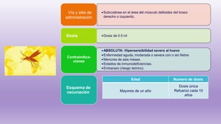 •Subcutánea en el área del músculo deltoides del brazo
derecho o izquierdo,
Vía y sitio de
administración
•Dosis de 0.5 ml
Dosis
•ABSOLUTA: Hipersensibilidad severa al huevo
•Enfermedad aguda, moderada o severa con o sin fiebre.
•Menores de seis meses.
•Estados de inmunodeficiencias.
•Embarazo (riesgo teórico).
Contraindica-
ciones
Esquema de
vacunación
Edad Numero de dosis
Mayores de un año
Dosis única
Refuerzo cada 10
años
 
