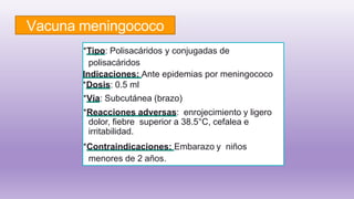 Vacuna meningococo
*Tipo: Polisacáridos y conjugadas de
polisacáridos
Indicaciones: Ante epidemias por meningococo
*Dosis: 0.5 ml
*Vía: Subcutánea (brazo)
*Reacciones adversas: enrojecimiento y ligero
dolor, fiebre superior a 38.5°C, cefalea e
irritabilidad.
*Contraindicaciones: Embarazo y niños
menores de 2 años.
 