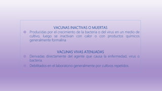 VACUNAS INACTIVAS O MUERTAS
◍ Producidas por el crecimiento de la bacteria o del virus en un medio de
cultivo, luego se inactivan con calor o con productos químicos
generalmente formalina
VACUNAS VIVAS ATENUADAS
◍ Derivadas directamente del agente que causa la enfermedad, virus o
bacteria.
◍ Debilitados en el laboratorio generalmente por cultivos repetidos
 