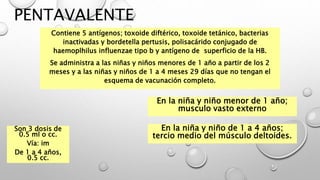 PENTAVALENTE
Contiene 5 antígenos; toxoide diftérico, toxoide tetánico, bacterias
inactivadas y bordetella pertusis, polisacárido conjugado de
haemoplhilus influenzae tipo b y antígeno de superficio de la HB.
Se administra a las niñas y niños menores de 1 año a partir de los 2
meses y a las niñas y niños de 1 a 4 meses 29 días que no tengan el
esquema de vacunación completo.
Son 3 dosis de
0.5 ml o cc.
Vía: im
De 1 a 4 años,
0.5 cc.
En la niña y niño menor de 1 año;
musculo vasto externo
En la niña y niño de 1 a 4 años;
tercio medio del músculo deltoides.
 