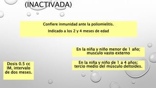 (INACTIVADA)
Confiere inmunidad ante la poliomielitis.
Indicado a los 2 y 4 meses de edad
Dosis 0.5 cc
IM, intervalo
de dos meses.
En la niña y niño menor de 1 año;
musculo vasto externo
En la niña y niño de 1 a 4 años;
tercio medio del músculo deltoides.
 