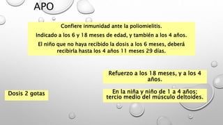 APO
Confiere inmunidad ante la poliomielitis.
Indicado a los 6 y 18 meses de edad, y también a los 4 años.
El niño que no haya recibido la dosis a los 6 meses, deberá
recibirla hasta los 4 años 11 meses 29 días.
Dosis 2 gotas
Refuerzo a los 18 meses, y a los 4
años.
En la niña y niño de 1 a 4 años;
tercio medio del músculo deltoides.
 