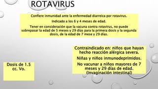 ROTAVIRUS
Confiere inmunidad ante la enfermedad diarreica por rotavirus.
Indicado a los 6 y 4 meses de edad.
Tener en consideración que la vacuna contra rotavirus, no puede
sobrepasar la edad de 5 meses y 29 días para la primera dosis y la segunda
dosis, de la edad de 7 mese y 29 días.
Dosis de 1.5
cc. Vo.
Contraindicado en: niños que hayan
hecho reacción alérgica severa.
Niñas y niños inmunodeprimidos.
No vacunar a niños mayores de 7
meses y 29 días de edad.
(Invaginación intestinal)
 