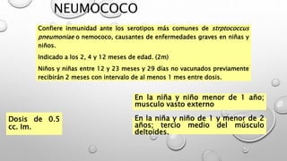 NEUMOCOCO
Confiere inmunidad ante los serotipos más comunes de strptococcus
pneumoniae o nemococo, causantes de enfermedades graves en niñas y
niños.
Indicado a los 2, 4 y 12 meses de edad. (2m)
Niños y niñas entre 12 y 23 meses y 29 días no vacunados previamente
recibirán 2 meses con intervalo de al menos 1 mes entre dosis.
Dosis de 0.5
cc. Im.
En la niña y niño menor de 1 año;
musculo vasto externo
En la niña y niño de 1 y menor de 2
años; tercio medio del músculo
deltoides.
 