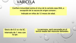 VARICELA
Confiere inmunidad contra el virus de la varicela cepa OKA, a
excepción de la vacuna de origen coreano .
Indicado en niños de 12 meses de edad.
Dosis de 0.5 cc vía SC.
Intervalo de 1 mes con
la spr.
La persona, será vacunada en el
tercio medio del músculo deltoides.
 