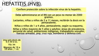 HEPATITIS (HVB)
Confiere protección sobre la infección virus de la hepatitis.
Debe administrarse en el RN con un peso no menor de 2000
gramos.
Lactantes, niñas y niños de 2 a 11 meses, recibirán la dosis en la
pentavalente.
Niñas y niños de 1 a 4 años, pentavalente, según su esquema.
Niñas y niños mayores de 5 años y adultos; áreas de prevalencia,
personal de salud, poblaciones indígenas, trabajadores sexuales,
fuerzas armadas, pnp, cruz roja, bomberos y defensa civil.
Una sola dosis de
0.5 ml o cc.
Vía: im
Mayores de 16 a
59 años , 1 cc.
 