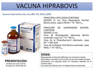 VACUNA HIPRABOVIS
Vacuna mixta frente a los virus IBR, PI3, BVD y BRS
FRACCIÓN LIOFILIZADA CONTIENE:
(DOSIS) (3 ml) Virus Respiratorio Sincitial
Bovino activo, cepa LYM-56 ? 10 4 DICT50
FRACCIÓN DE SUSPENSIÓN ESTÉRIL
CONTIENE:
(DOSIS) (3 ml)
Virus de Rinotraqueítis Infecciosa Bovina
inactivado, cepa LA ? 10 7 DICT50
Virus de la Parainfluenza-3 inactivado, cepa
SF4 ? 480 UHA
Virus de la Diarrea Viral Bovina inactivado, cepa
NADL ? 10 6 DICT50
DOSIS:
Resuspender la fracción liofilizada con la fracción líquida.
Administrar una dosis (3 ml) a partir de los dos meses de edad.
Administrar una segunda dosis 3-4 semanas después de la
primera dosis.
Una dosis de refuerzo de 3 ml deberá darse anualmente.
PRESENTACIÓN:
Envase con 5 ds (15 ml).
Envase con 30 ds (90 ml).
 