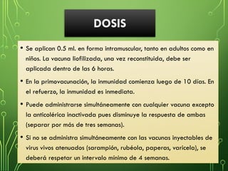 DOSIS
• Se aplican 0.5 ml. en forma intramuscular, tanto en adultos como en
niños. La vacuna liofilizada, una vez reconstituida, debe ser
aplicada dentro de las 6 horas.
• En la primovacunación, la inmunidad comienza luego de 10 días. En
el refuerzo, la inmunidad es inmediata.
• Puede administrarse simultáneamente con cualquier vacuna excepto
la anticolérica inactivada pues disminuye la respuesta de ambas
(separar por más de tres semanas).
• Si no se administra simultáneamente con las vacunas inyectables de
virus vivos atenuados (sarampión, rubéola, paperas, varicela), se
deberá respetar un intervalo mínimo de 4 semanas.
 