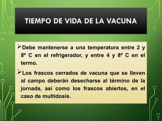 TIEMPO DE VIDA DE LA VACUNA
Debe mantenerse a una temperatura entre 2 y
8º C en el refrigerador, y entre 4 y 8º C en el
termo.
Los frascos cerrados de vacuna que se lleven
al campo deberán desecharse al término de la
jornada, así como los frascos abiertos, en el
caso de multidosis.
 