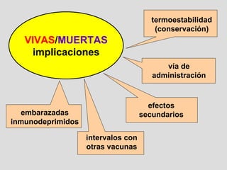 VIVAS / MUERTAS implicaciones termoestabilidad (conservación) vía de administración efectos secundarios intervalos con otras vacunas embarazadas inmunodeprimidos 