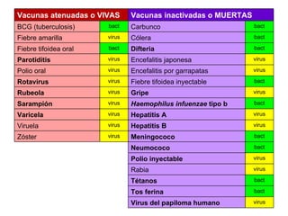 virus Virus del papiloma humano bact Tos ferina bact Tétanos virus Rabia virus Polio inyectable bact Neumococo bact Meningococo virus Zóster virus Hepatitis B virus Viruela virus Hepatitis A virus Varicela bact Haemophilus infuenzae  tipo b virus Sarampión  virus Gripe virus Rubeola bact Fiebre tifoidea inyectable virus Rotavirus virus Encefalitis por garrapatas virus Polio oral virus Encefalitis japonesa virus Parotiditis bact Difteria bact Fiebre tifoidea oral bact Cólera virus Fiebre amarilla bact Carbunco bact BCG (tuberculosis) Vacunas inactivadas o MUERTAS Vacunas atenuadas o VIVAS 