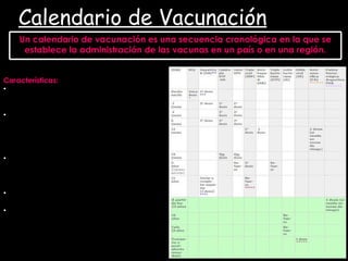Calendario de Vacunación   Características: Ser eficaz , es decir, que proteja frente a las enfermedades frente a las que contempla vacuna. Sencillo , tendiendo a simplificar el número de dosis a administrar y por consiguiente las visitas al médico y que establezca un marco de recomendaciones claras. Aceptado  tanto por los profesionales sanitarios que participan en la inmunización de la población como por la sociedad. Unificado  para el área geográfica de aplicación. Actualizado  de forma permanente considerando tanto los avances en el desarrollo de las vacunas como la situación epidemiológica del país de las enfermedades frente a las que se vacuna. Un calendario de vacunación es una secuencia cronológica en la que se establece la administración de las vacunas en un país o en una región. 