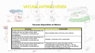 VACUNA ANTIINFLUENZA
• Las vacunas que se utilizan para prevenir la influenza
contienen cepas virales, representando subtipos de virus de
influenza A H1N1 y H3N2, e influenza B, recomendadas por la
OMS.
 