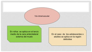 En niños se aplica en el tercio
medio de la cara anterolateral
externa del muslo
En el caso de los adolescentes o
adultos se aplica en la región
deltoidea
Vía intramuscular
 