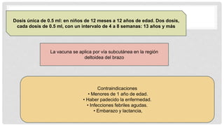 Dosis única de 0.5 ml: en niños de 12 meses a 12 años de edad. Dos dosis,
cada dosis de 0.5 ml, con un intervalo de 4 a 8 semanas: 13 años y más
La vacuna se aplica por vía subcutánea en la región
deltoidea del brazo
Contraindicaciones
• Menores de 1 año de edad.
• Haber padecido la enfermedad.
• Infecciones febriles agudas.
• Embarazo y lactancia,
 
