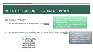 VACUNA RECOMBINANTE CONTRA LA HEPATITIS B
EN LOS ADOLESCENTES:
 Para la presentación de 10 µg se aplican tres dosis.
 Para la presentación de 20 µg el esquema es de dos dosis, cada dosis de 1 ml.
 Primera dosis, en la fecha elegida.
 Segunda dosis, un mes después de la
primera dosis.
 Tercera dosis, cinco meses después
de la segunda dosis.
 Primera dosis, en la
fecha elegida.
 Segunda dosis, cuatro
semanas después de
la primera dosis.
vía intramuscular,
la zona de
aplicación es la
región deltoidea
del brazo derecho.
 