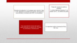 Periodo de incubación: 4 a 6 semanas pero varia de 5 días
a 1 año, depende de el tamaño del inoculo, inervación de
zona afectada y la distancia del SNC a la mordedura
3 tipos de vacunas en cultivos
celulares:
1.-celulas diploides humanas 2.-en
células vero 3.- en embrión de pollo
Cara anterolateral externa del muslo o
región deltoides en menores de 18 meses
vía subcutánea o intramuscular
Es importante aplicar eliminación física
del virus
 