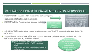 VACUNA CONJUGADA HEPTAVALENTE CONTRA NEUMOCOCO
 DESCRIPCIÓN: solución estéril de sacáridos de los antígenos
capsulares del Streptococcus pneumoniae.
 PRESENTACIÓN: Frasco ámpula o jeringa prellenada.
 CONSERVACIÓN: debe conservarse a una temperatura de 2ºC a 8ºC, en refrigerador, y de 4ºC a 8ºC
en el termo.
 ESQUEMA, DOSIFICACIÓN, VÍA Y SITIO DE APLICACIÓN: consta de 3 dosis, cada una de 0.5 ml,
que se aplican a los 2, 4 y 12 meses de edad.
0.5 mililitros de
solución
inyectable.
contiene: 2 μcg de los
sacáridos capsulares de
Streptococcus pneumoniae
serotipos: 4, 9V, 14, 18C,
19F y 23F; 4 μcg del
serotipo 6B; y 20 μcg.
Niños de 12 meses a 23 meses (2 dosis):
 Primera dosis: entre 12 y 23 meses de
edad.
 Segunda dosis: seis meses después de la
primera dosis.
vía intramuscular
en el tercio medio
de la cara
anterolateral
externa del muslo
derecho.
 