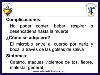 Complicaciones:
  No poder comer, beber, respirar o
  desencadena hasta la muerte
¿Cómo se adquiere?
  El microbio entra al cuerpo por nariz y
  boca, a través de las gotitas de saliva
Síntomas:
  Catarro, ataques violentos de tos, fiebre,
  malestar general
 