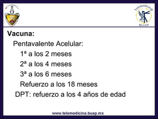 Vacuna:
 Pentavalente Acelular:
   1ª a los 2 meses
   2ª a los 4 meses
   3ª a los 6 meses
   Refuerzo a los 18 meses
  DPT: refuerzo a los 4 años de edad
 