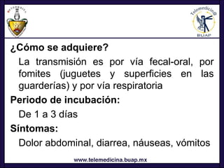 ¿Cómo se adquiere?
  La transmisión es por vía fecal-oral, por
  fomites (juguetes y superficies en las
  guarderías) y por vía respiratoria
Periodo de incubación:
  De 1 a 3 días
Síntomas:
  Dolor abdominal, diarrea, náuseas, vómitos
 