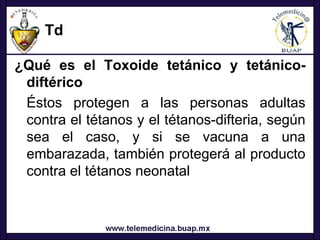 Td

¿Qué es el Toxoide tetánico y tetánico-
 diftérico
 Éstos protegen a las personas adultas
 contra el tétanos y el tétanos-difteria, según
 sea el caso, y si se vacuna a una
 embarazada, también protegerá al producto
 contra el tétanos neonatal
 