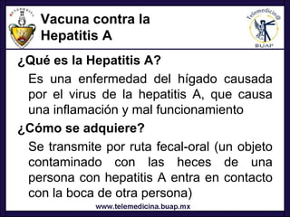 Vacuna contra la
   Hepatitis A
¿Qué es la Hepatitis A?
 Es una enfermedad del hígado causada
 por el virus de la hepatitis A, que causa
 una inflamación y mal funcionamiento
¿Cómo se adquiere?
 Se transmite por ruta fecal-oral (un objeto
 contaminado con las heces de una
 persona con hepatitis A entra en contacto
 con la boca de otra persona)
 