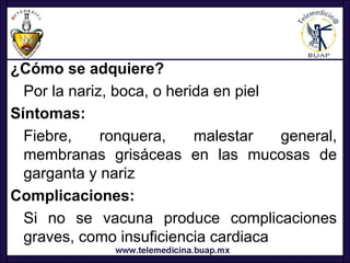¿Cómo se adquiere?
  Por la nariz, boca, o herida en piel
Síntomas:
  Fiebre,     ronquera,     malestar   general,
  membranas grisáceas en las mucosas de
  garganta y nariz
Complicaciones:
  Si no se vacuna produce complicaciones
  graves, como insuficiencia cardiaca
 