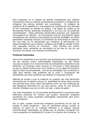 Otra propuesta es el empleo de plantas transgénicas que además
funcionarían como un sistema combinado de producción y entrega de los
antígenos (las plantas también son eucariontes). El antígeno de
superficie de la hepatitis B y una proteína de cubierta del virus Norwalk
se han expresado en plantas de tabaco y de papas las cuales se ha
demostrado forman partículas semejantes a los virus con las proteínas
recombinantes. Estas partículas seudovirales producen una respuesta
inmunogénica en ratones. La inmunización oral por alimentación papas
transgénicas que contienen subunidades de toxinas de E coli y de cólera
desarrollan respuesta inmune y la formación de anticuerpos en ratones.
Por otro lado, se ha demostrado que mediante la alimentación con
papas transgénicas que producen antígenos de E coli es posible inducir
una respuesta inmune en humanos. Esto significa que pronto
podríamos tener campañas de vacunación en las que en vez de una
inyección nos dieran una manzana recombinante.
Proteínas fusionadas
Otro de los problemas al que tuvieron que enfrentarse los investigadores
con las vacunas contra enfermedades bacterianas, es que dichas
vacunas se basan en el reconocimiento de polisacáridos presentes en las
bacterias; sin embargo, estas vacunas no inmunizan a niños pequeños
ya que su sistema inmune aun no es maduro y no es capaz de reconocer
algunos tipos de polisacáridos. Una de las estrategias que se llevaron a
cabo para resolver este problema fue la unión o conjugación del
polisacárido con otras proteínas que facilitan la respuesta inmune.
Además de ayudar a que la molécula en cuestión sea más fácilmente
reconocida por el sistema inmune, la posibilidad de hacer estas uniones
nos permite hacer otras cosas interesantes como unir dos moléculas de
dos patógenos diferentes en una sola vacuna, como en una quimera
(animal mitológico que era un león con alas y patas de gallo).
Con este precedente, se ha fusionado genéticamente la secuencia para
diferentes proteínas de manera que pueden obtenerse antígenos
quiméricos los cuales presentan propiedades interesantes para servir
como antígenos.
Por un lado, pueden construirse antígenos quiméricos en los que se
proteja la parte antigénica. Esto es importante porque cuando se
expresa un gene en un huésped diferente a la especie original
(recombinación heteróloga) es posible que la proteína resultante sea
muy susceptible a la degradación, es decir a la ruptura de la proteína. A
 