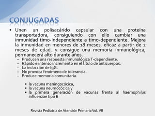 • Unen un polisacárido capsular con una proteína
  transportadora, consiguiendo con ello cambiar una
  inmunidad timo-independiente a timo-dependiente. Mejora
  la inmunidad en menores de 18 meses, eficaz a partir de 2
  meses de edad, y consigue una memoria inmunológica,
  permanecerá alto durante años.
   –   Producen una respuesta inmunológica T-dependiente.
   –   Rápido e intenso incremento en el título de anticuerpos.
   –   La inducción de IgG.
   –   No provoca fenómeno de tolerancia.
   –   Produce memoria comunitaria.
        • la vacuna meningocócica,
        • la vacuna neumocócica y
        • la primera generación de vacunas frente al haemophilus
          influenzae tipo B


           Revista Pediatría de Atención Primaria Vol. VII
 