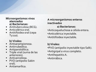Microorganismos vivos           A microorganismos enteros
  atenuados
  a) Bacterianas:               inactivados
• Antituberculosa (BCG).                 a) Bacterianas:
• Anticolérica oral.            •Anticoqueluchosa a célula entera.
• Antitifoidea oral (cepa       •Anticolérica inyectable.
  Ty21a).
                                •Antitifoidea inyectable.
    b) Virales:
•   Antisarampionosa.           b) Virales:
•   Antirrubeólica.             •PVO (antipolio inyectable tipo Salk).
•   Antiparotidítica.
•   Triple viral (suma de las   •Antigripal a virus completo.
    anteriores).                •Antihepatitis A.
•   Antivaricelosa.             •Antirrábica.
•   PVO (antipolio Sabin
    oral).
•   Antiamarílica.
 