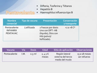 • Difteria, Tosferina y Tétanos
                                 • Hepatitis B
                                 • Haemophilus influenza tipo B

   Nombre       Tipo de vacuna        Presentación        Conservación
  comercial                                               y transporte
 Pentavalente     Liofilizada      2 frascos por dosis:     +2 a +8 Cº
   INFANRIX                        Uno con DPT- HB
  PENTAVAC                         (líquido), Otro con
                                   Hib (polvo)/
                                   liofilizado).



  Vacuna        Vía     Dosis        Edad        Sitio de aplicación     Observaciones
Pentavalente    I.M.    0.5 ml       2, 4 y 6       Región lateral       15 a 18 meses
                                     meses        externa del tercio      1er refuerzo
                                                  medio del muslo
 