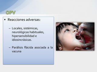 • Reacciones adversas:

  – Locales, sistémicas,
    neurológicas habituales,
    hipersensibilidad e
    idiosincrásicas.

  – Parálisis flácida asociada a la
    vacuna
 