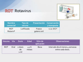 Rotavirus

    Nombre           Tipo de      Presentación Conservación
   comercial         vacuna                    y transporte
      ROT          Liofilizada       Frasco      +2 a +8 Cº
    Rotarix®                       gotero 1ml



Vacuna   Vía    Dosis      Edad      Sitio de            Observaciones
                                    aplicación
 ROT     Oral   2 dosis   4y6         Boca       Intervalo de al menos 4 semanas
                  de      meses                          entre cada dosis.
                 1 ml
 