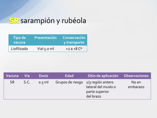 sarampión y rubéola

   Tipo de       Presentación       Conservación
   vacuna                           y transporte
  Liofilizada     Vial 5.0 ml         +2 a +8 Cº




Vacuna    Vía      Dosis             Edad          Sitio de aplicación   Observaciones
 SR       S.C.     0.5 ml       Grupos de riesgo 1/3 región antero          No en
                                                 lateral del muslo o       embarazo
                                                 parte superior
                                                 del brazo
 