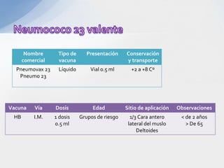 Nombre      Tipo de      Presentación    Conservación
      comercial    vacuna                       y transporte
  Pneumovax 23     Líquido       Vial 0.5 ml      +2 a +8 Cº
   Pneumo 23




Vacuna     Vía    Dosis           Edad          Sitio de aplicación   Observaciones
 HB       I.M.    1 dosis    Grupos de riesgo     1/3 Cara antero      < de 2 años
                  0.5 ml                         lateral del muslo       > De 65
                                                     Deltoides
 