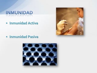 • Inmunidad Activa


• Inmunidad Pasiva
 