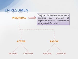 Conjunto de factores humorales y
  INMUNIDAD            celulares    que    protegen    al
                       organismo frente a la agresión de
                       los agentes infecciosos.




      ACTIVA                        PASIVA



NATURAL   ARTIFICIAL        NATURAL        ARTIFICIAL
 