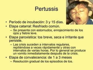 Pertussis

• Período de incubación: 3 y 15 días.
• Etapa catarral: Resfriado común.
   – Se presenta con estornudos, enrojecimiento de los
     ojos y fiebre leve.
• Etapa paroxistica: tos breve, seca e irritante que
  persiste.
   – Las crisis suceden a intervalos regulares,
     repitiéndose a veces rápidamente y otras con
     intervalos de varias horas. Por lo general se produce
     un vomito inmediatamente después de la crisis.
• Etapa de convalecencia: de 1 a 3 meses
   – Resolución gradual de los episodios de tos.
 