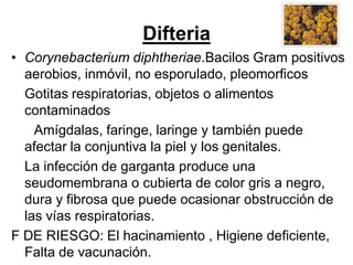 Difteria
• Corynebacterium diphtheriae.Bacilos Gram positivos
  aerobios, inmóvil, no esporulado, pleomorficos
  Gotitas respiratorias, objetos o alimentos
  contaminados
    Amígdalas, faringe, laringe y también puede
  afectar la conjuntiva la piel y los genitales.
  La infección de garganta produce una
  seudomembrana o cubierta de color gris a negro,
  dura y fibrosa que puede ocasionar obstrucción de
  las vías respiratorias.
F DE RIESGO: El hacinamiento , Higiene deficiente,
  Falta de vacunación.
 