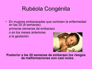 Rubéola Congénita

• En mujeres embarazadas que contraen la enfermedad
  en las 20 (8 semanas)
  primeras semanas de embarazo
  o en los meses anteriores
  a la gestación.




Posterior a las 20 semanas de embarazo los riesgos
          de malformaciones son casi nulos.
 